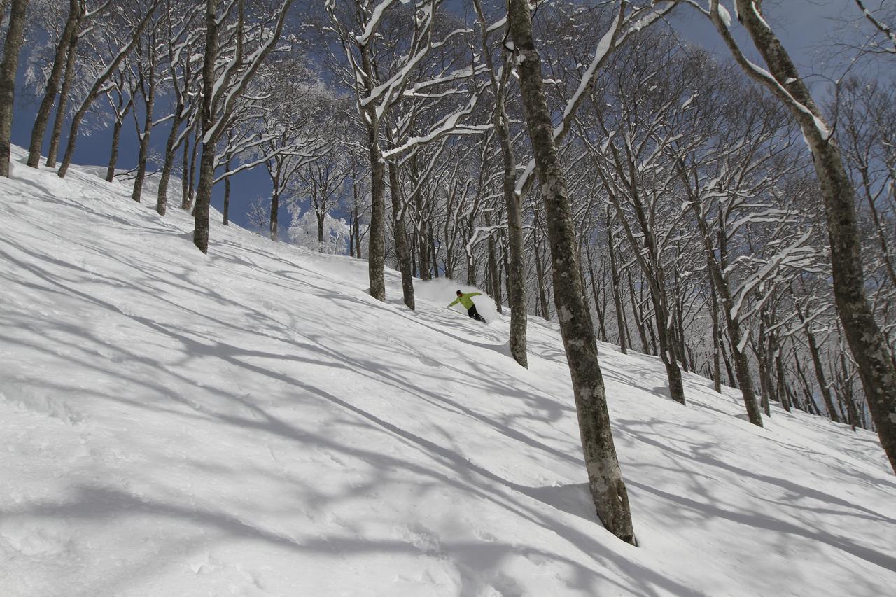 Powder Temple Hotel Hakuba Eksteriør billede
