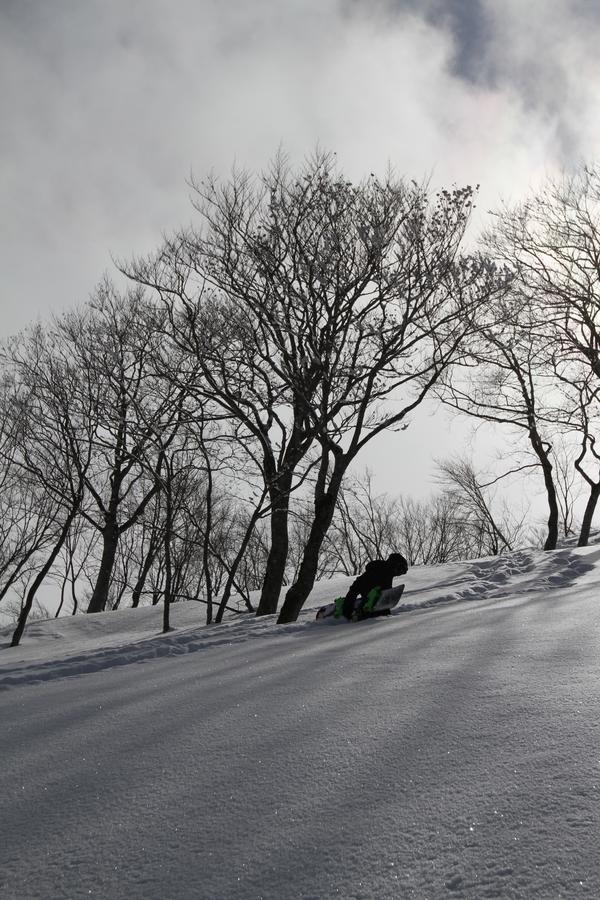 Powder Temple Hotel Hakuba Eksteriør billede